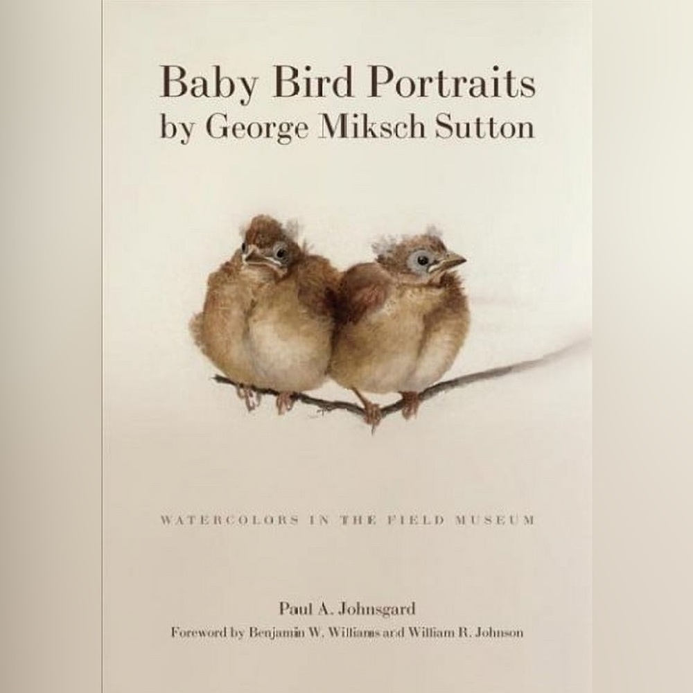 Baby Bird Portraits by George Miksch Sutton